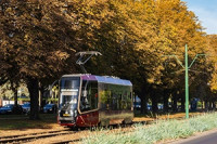 Moderus Gamma LF05 AC #600