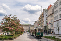 H+S<sub>2</sub>D+ND #158+423+436