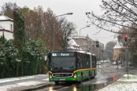 Mercedes-Benz Conecto G #1303