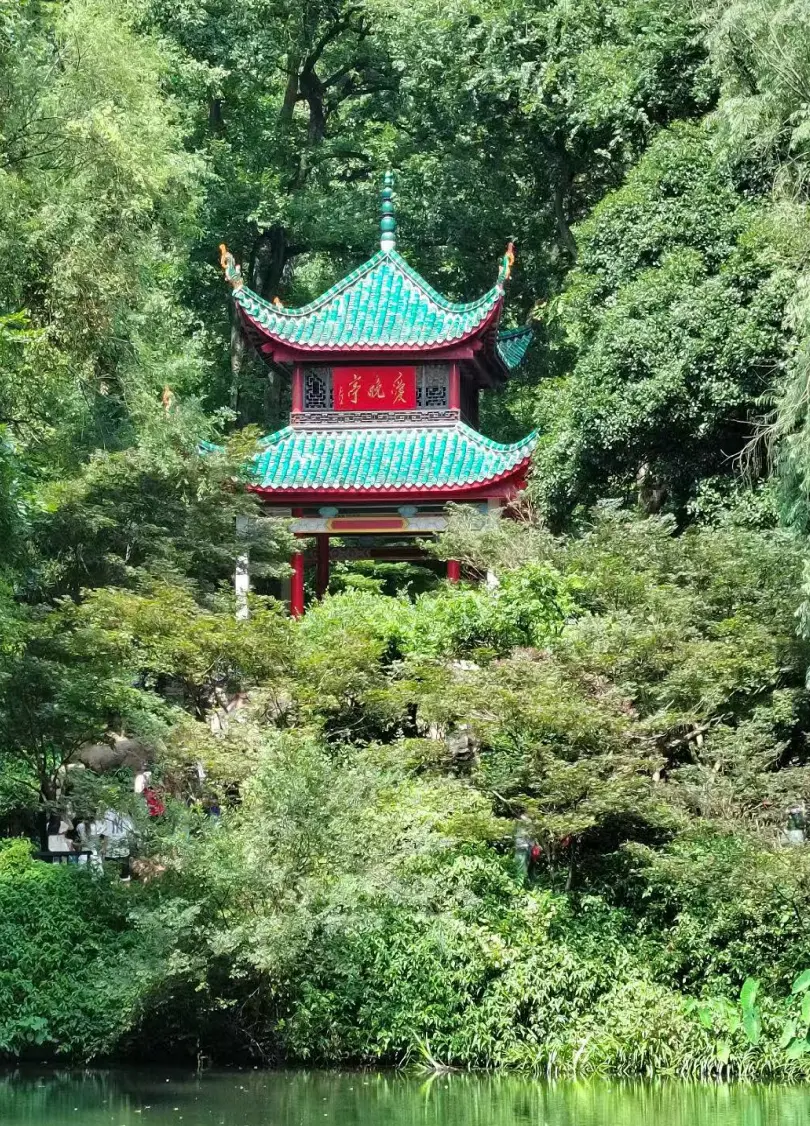 春日林间的亭子