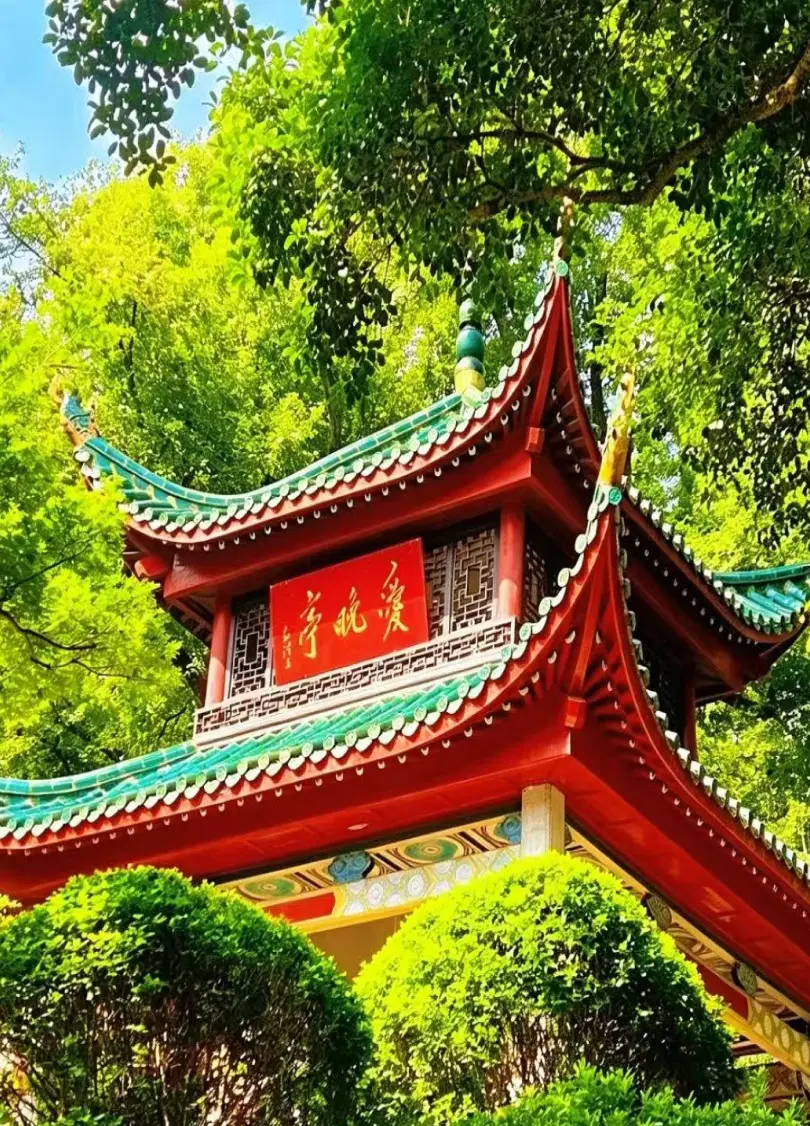 夏日绿荫中的红色亭阁