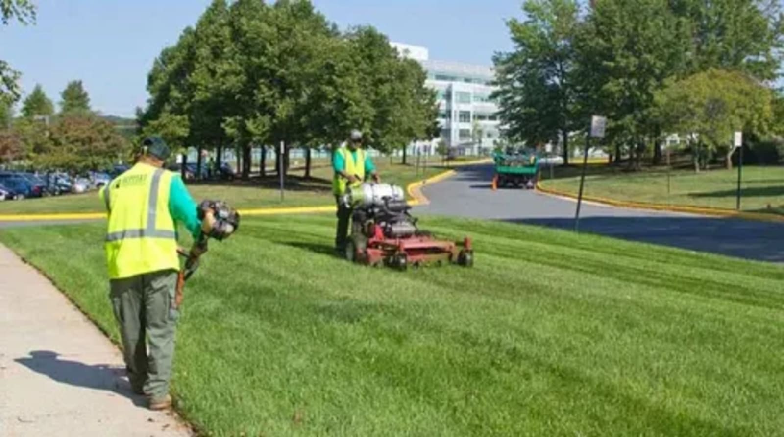 landscape contractor