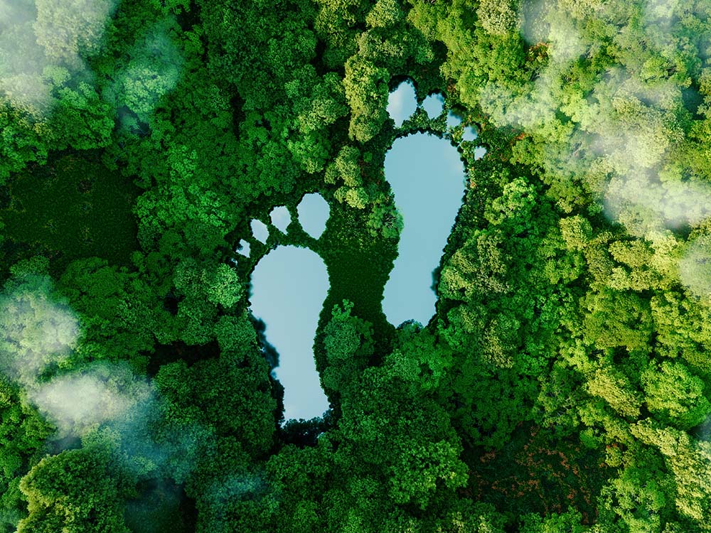 Learn how to combat climate change by decreasing CO2 emissions