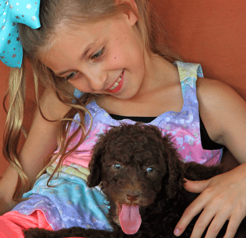little girl with puppy air condition filters little girl with puppy air condition filters