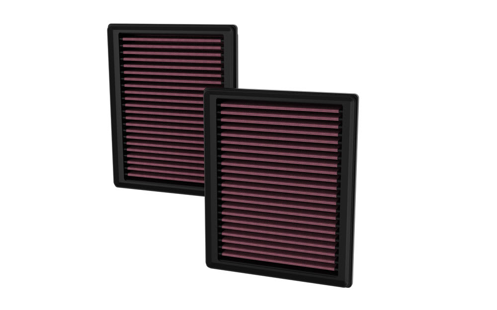 Hoogdoorstroomde originele levenslange motorluchtfilter - NISSAN Z V6-3.0L F/I (2 PER DOOS) for Wesfil WA5656 Air Filter