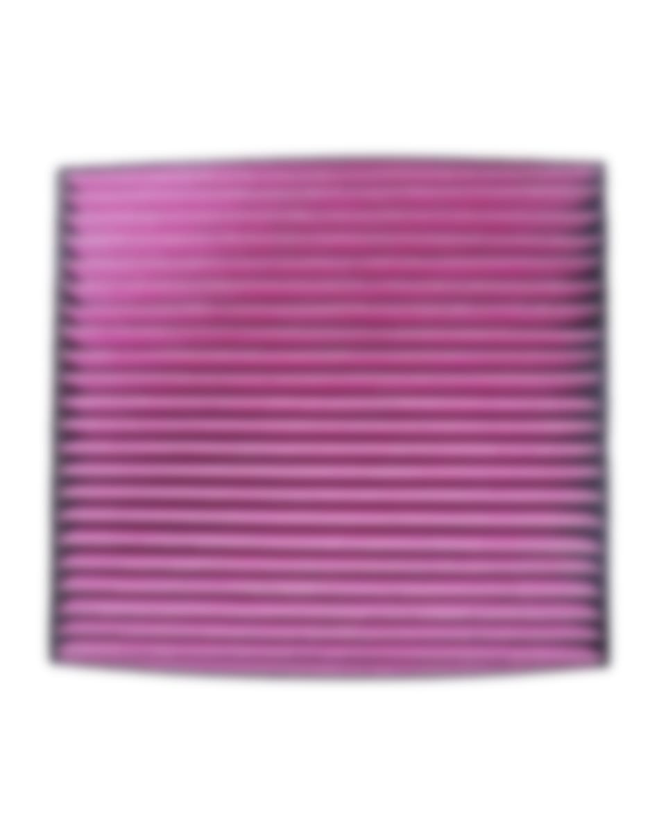 Disposable Cabin Air Filter
