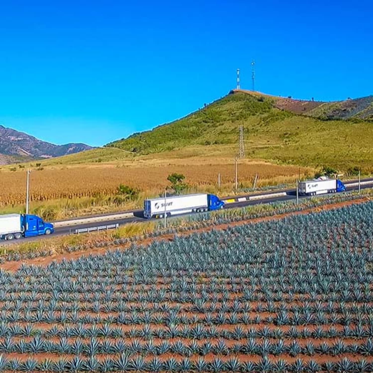 Albums 99+ Pictures Swift Transportation Greer Terminal Photos Stunning