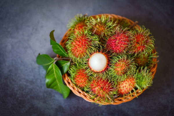 Rambután