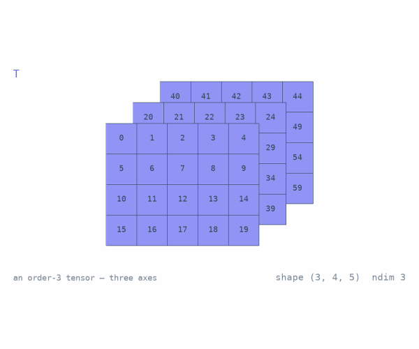 01 · What a Tensor Is
