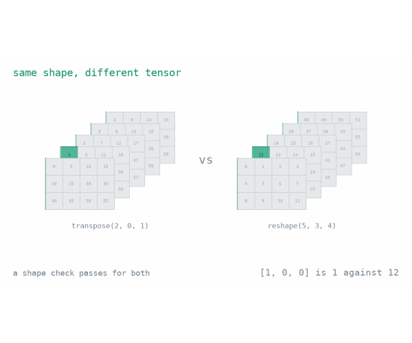 04 · Reshape and Transpose Real Images