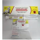 Covilife 1.87% Oral Paste by VEKO stands as a remarkable advancement in veterinary medicine-RX Supply
