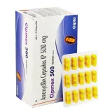 Amoxycillin Capsule