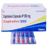 Cephalexin 500(Cephadex) is a widely-used antibiotic used to treat a range of bacterial infections-RX Supply