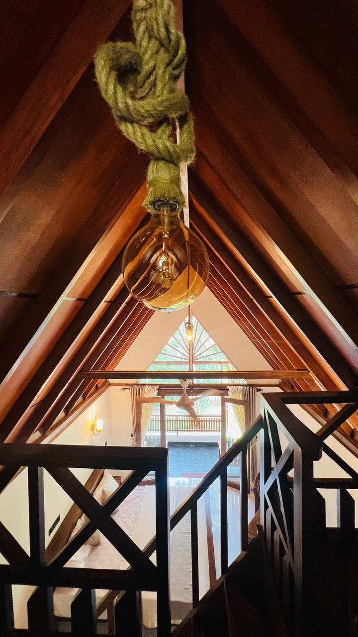 Vaulted Wood Ceiling & Lighting