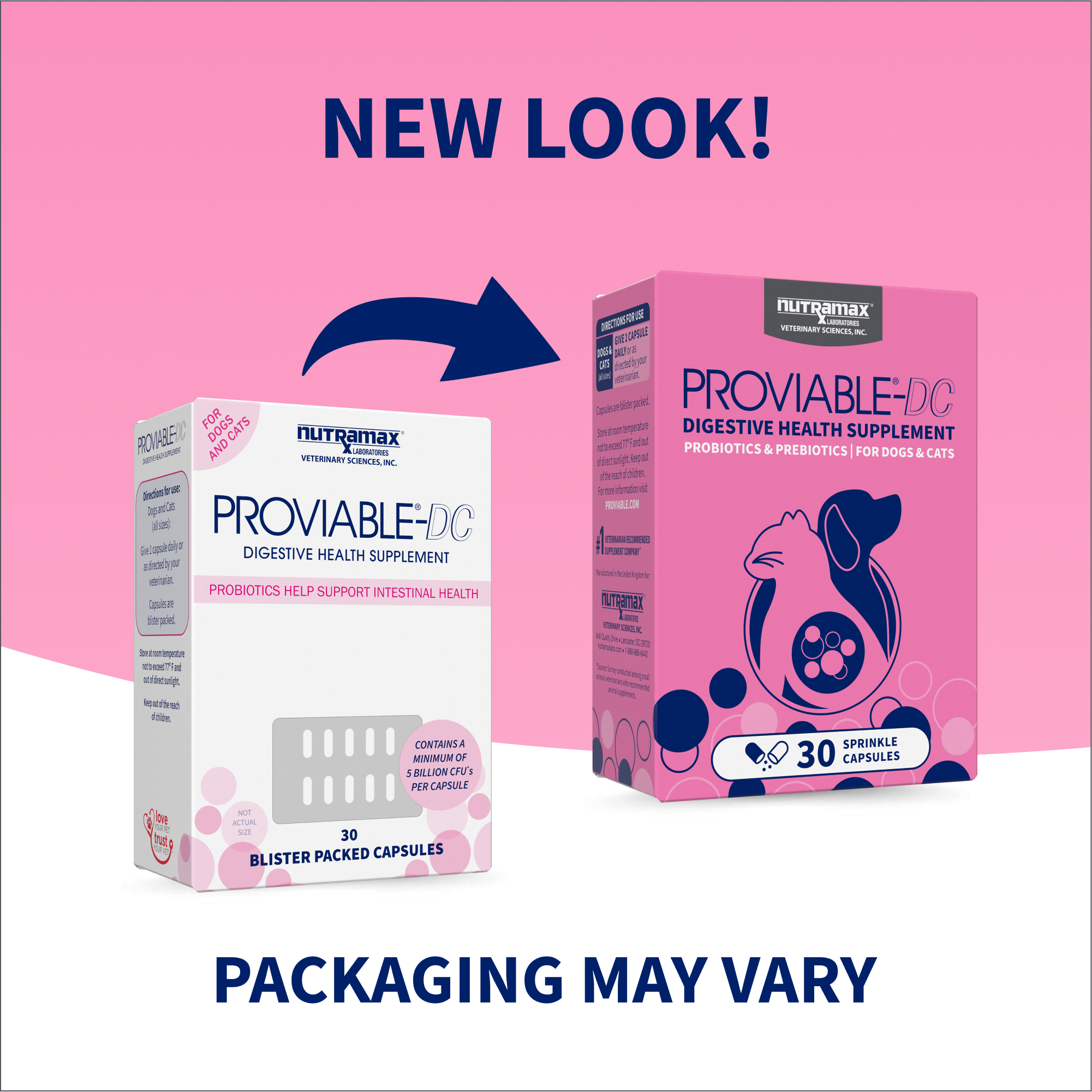 Nutramax Proviable-DC® | Koala Health