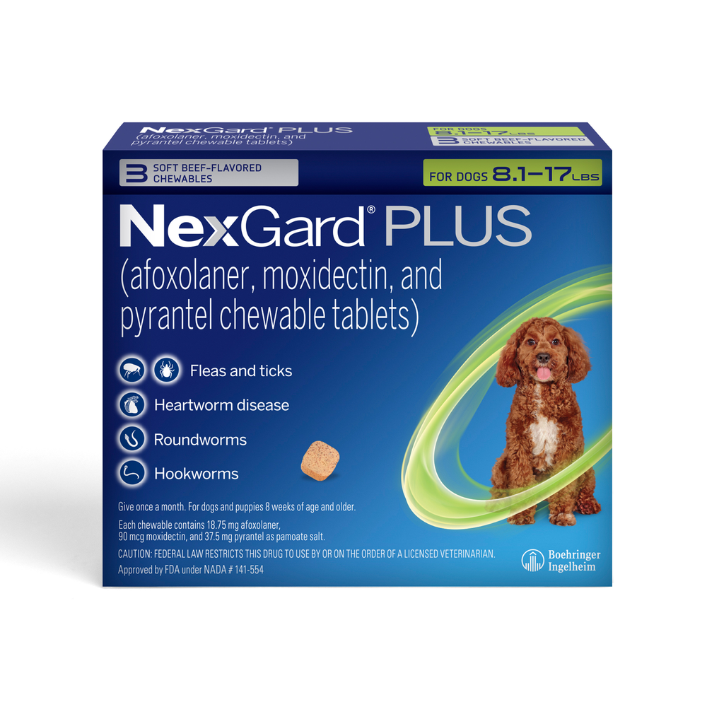 NexGard | Koala Health