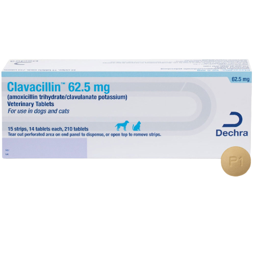 Clavacillin | Koala Health