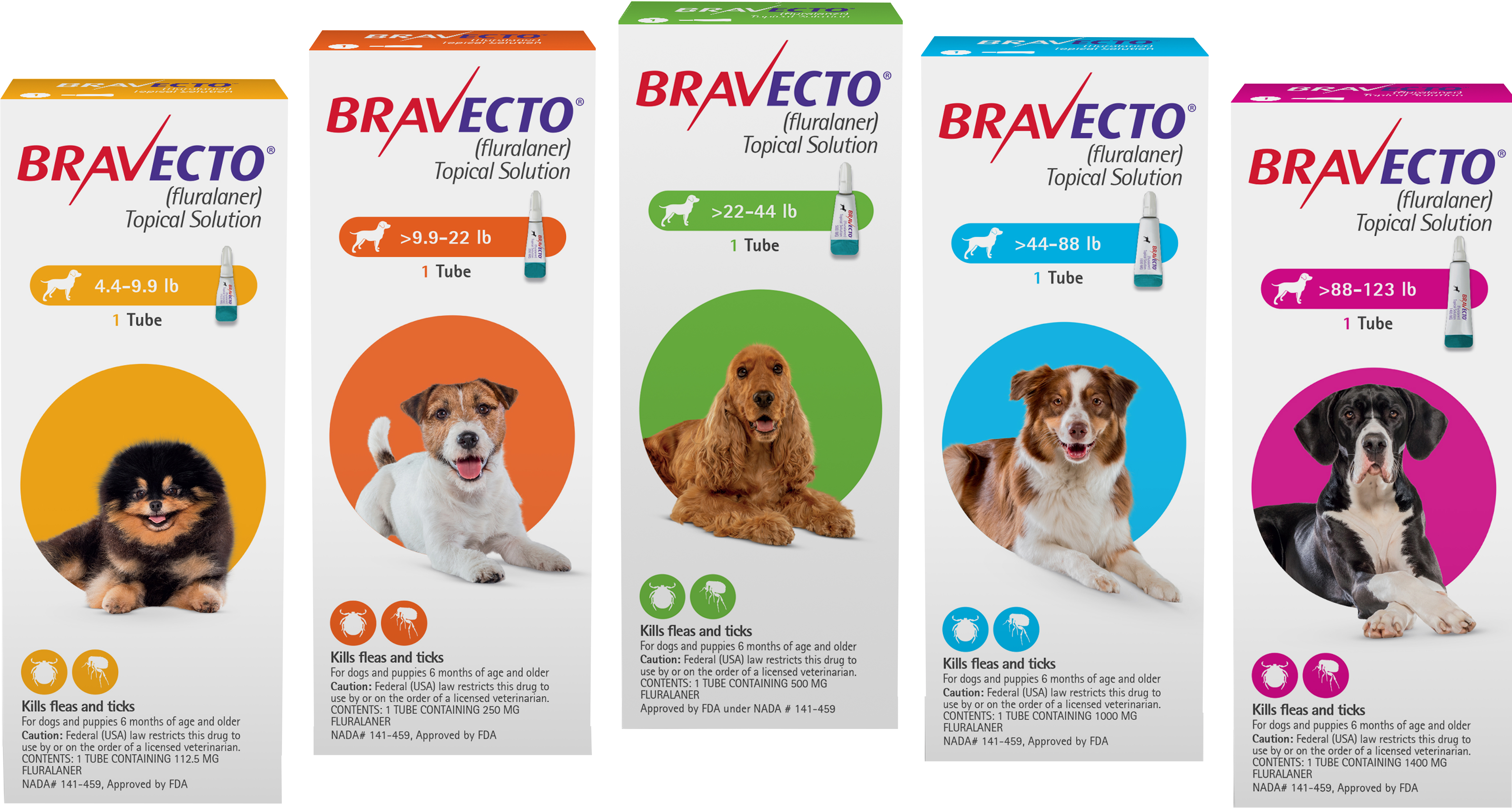 Bravecto Topical Solution for Dogs 9.9-22 lbs (4.5-10 kg) - Orange