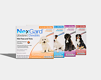 NexGard | Koala Health