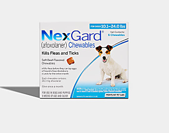 NexGard | Koala Health