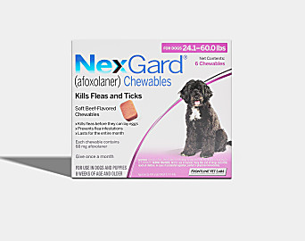 NexGard | Koala Health