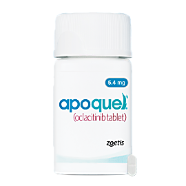 Apoquel | Koala Health