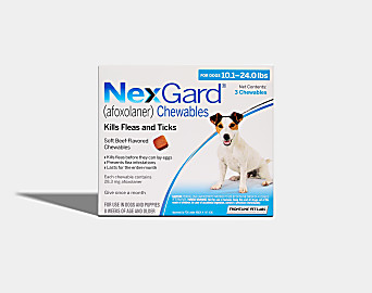 NexGard | Koala Health