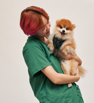 Get your pet's prescriptions from us delivered!