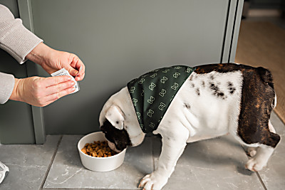 Pet Health Is Our Obsession