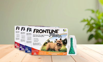 flea & tick