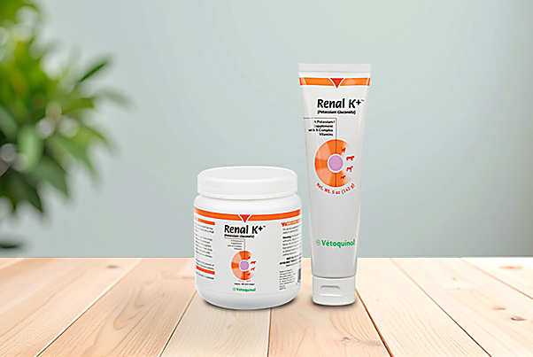 urinary tract & kidneys