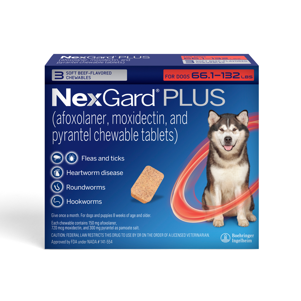 Nexgard PLUS for Dogs | Koala Health