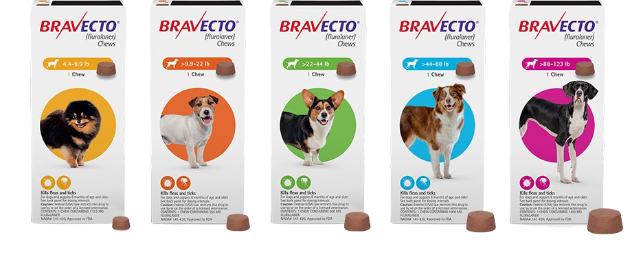 Bravecto 3-Month Chew for Dogs | Koala Health