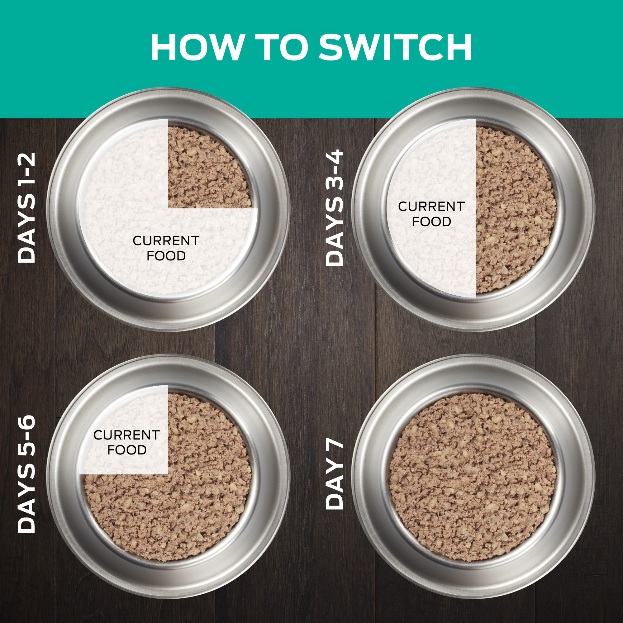 Wet Dog Food | Koala Health