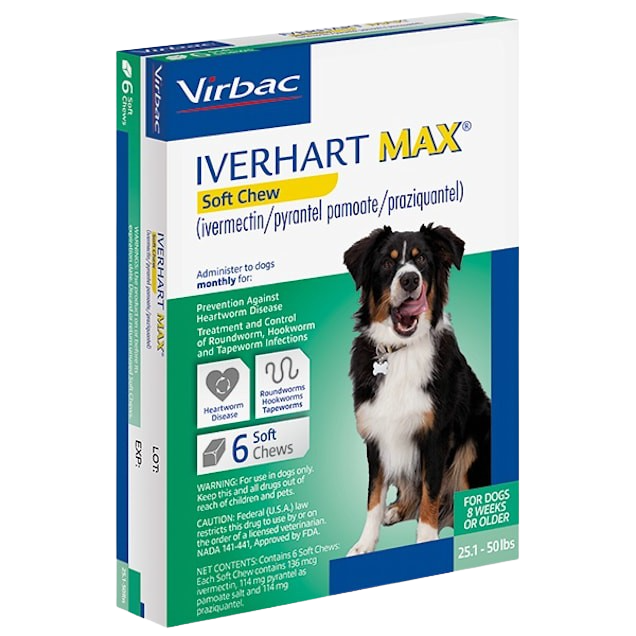 Iverhart Max for Dogs Koala Health