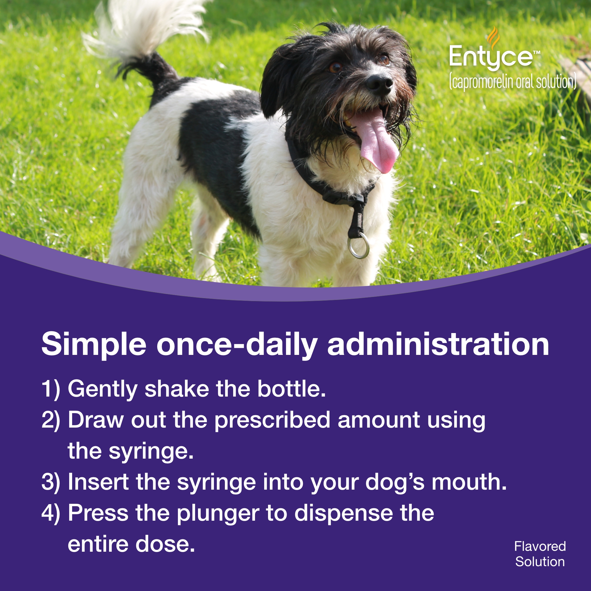 Entyce | Koala Health