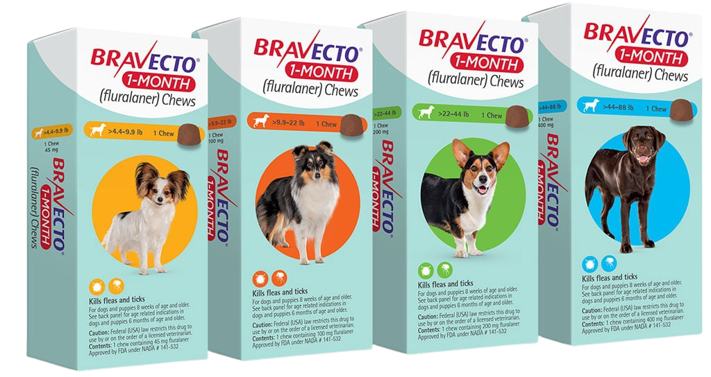 Bravecto 1-Month Chew for Dogs | Koala Health