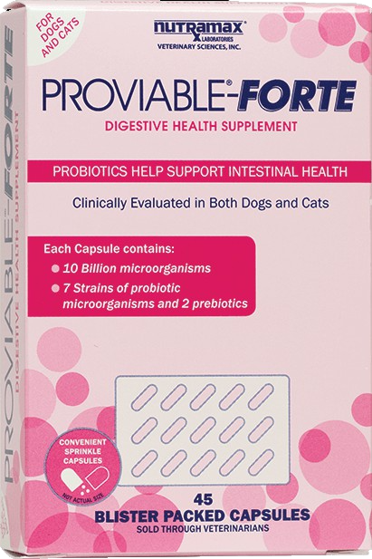 What Is Proviable Forte Used For