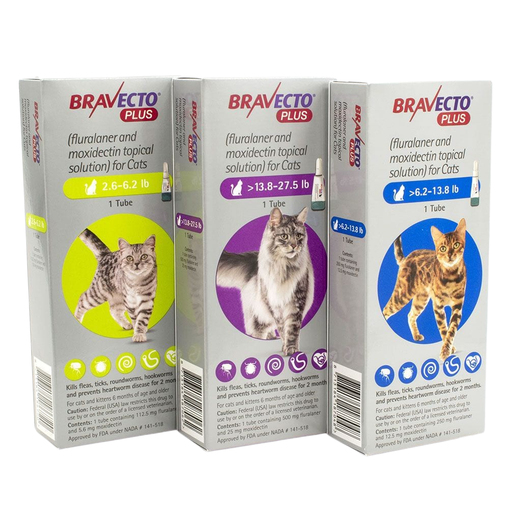Bravecto Plus for Cats Koala Health