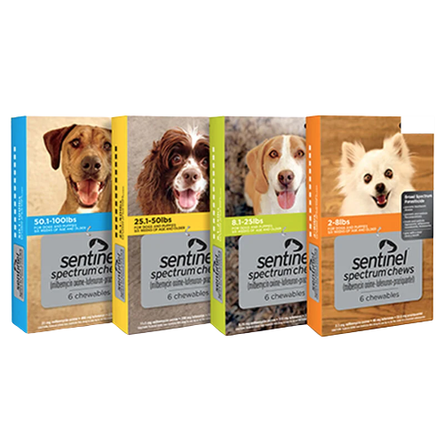 Sentinel Spectrum Tablets for Dogs | Koala Health