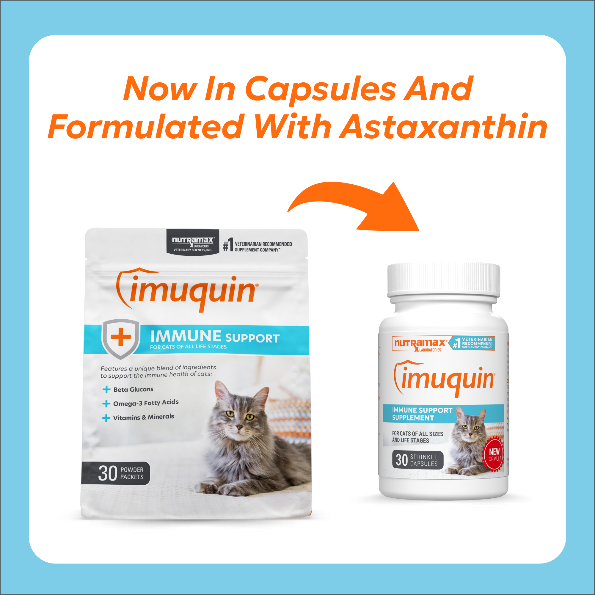 Nutramax Imuquin® | Koala Health