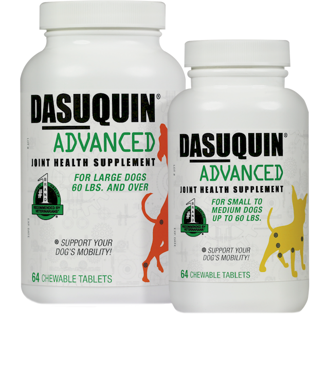 Dasuquin Advanced Koala Health