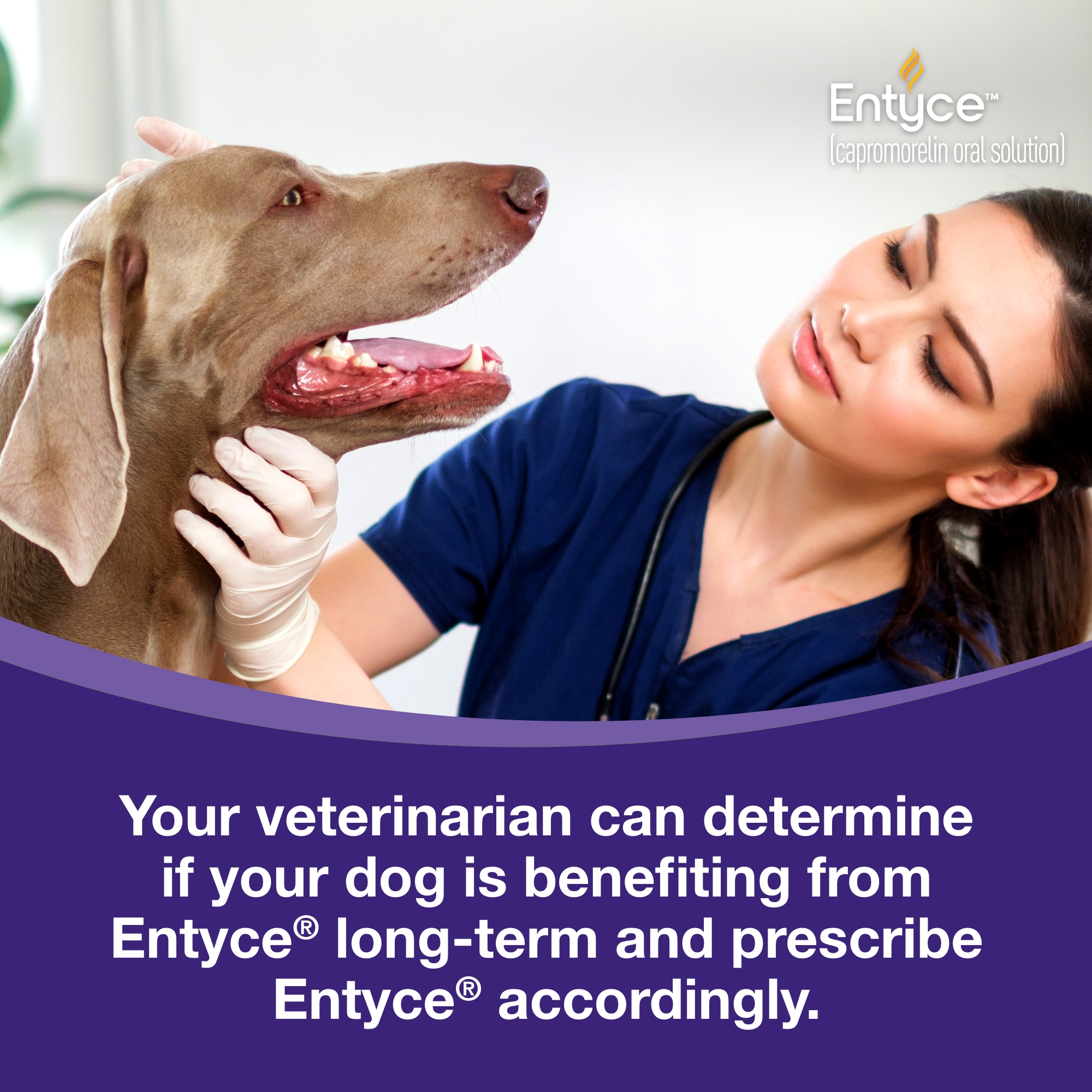 Entyce | Koala Health