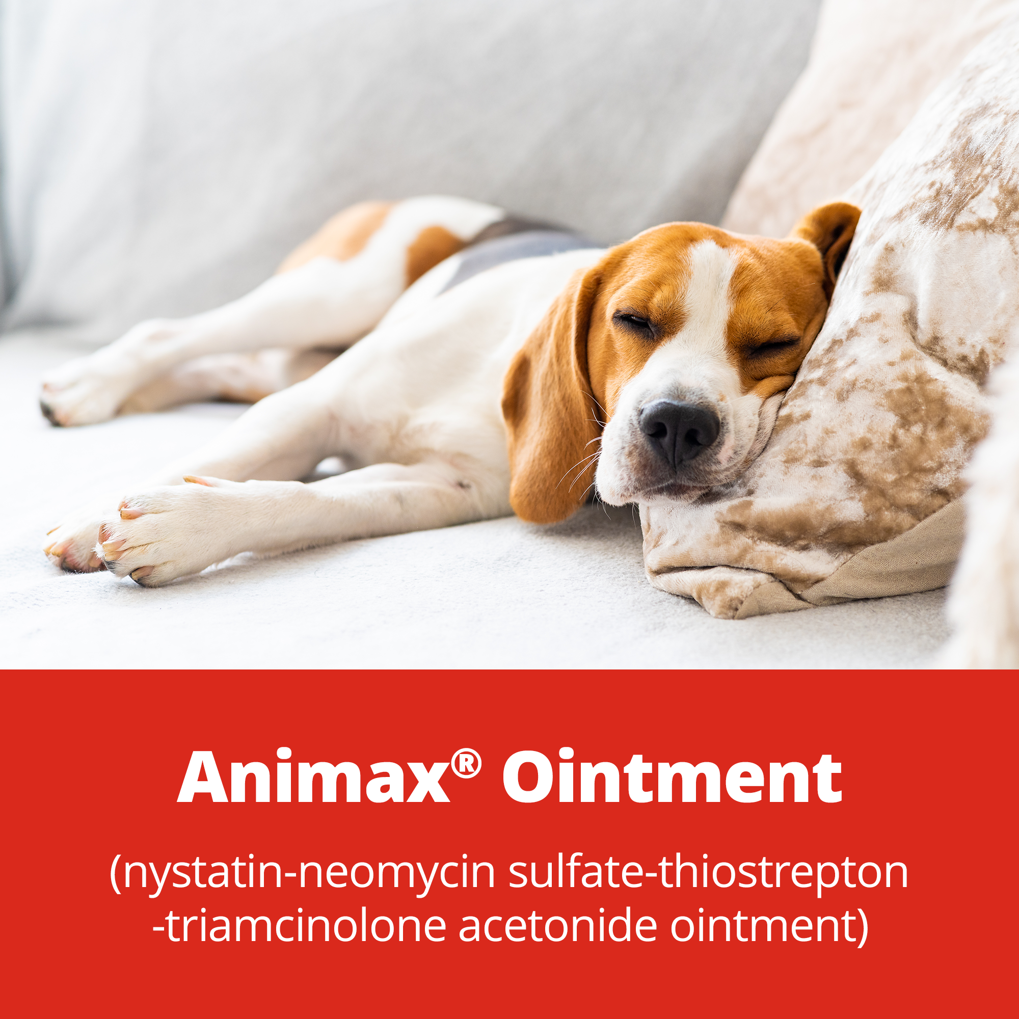 Mupirocin 2% Ointment | Koala Health