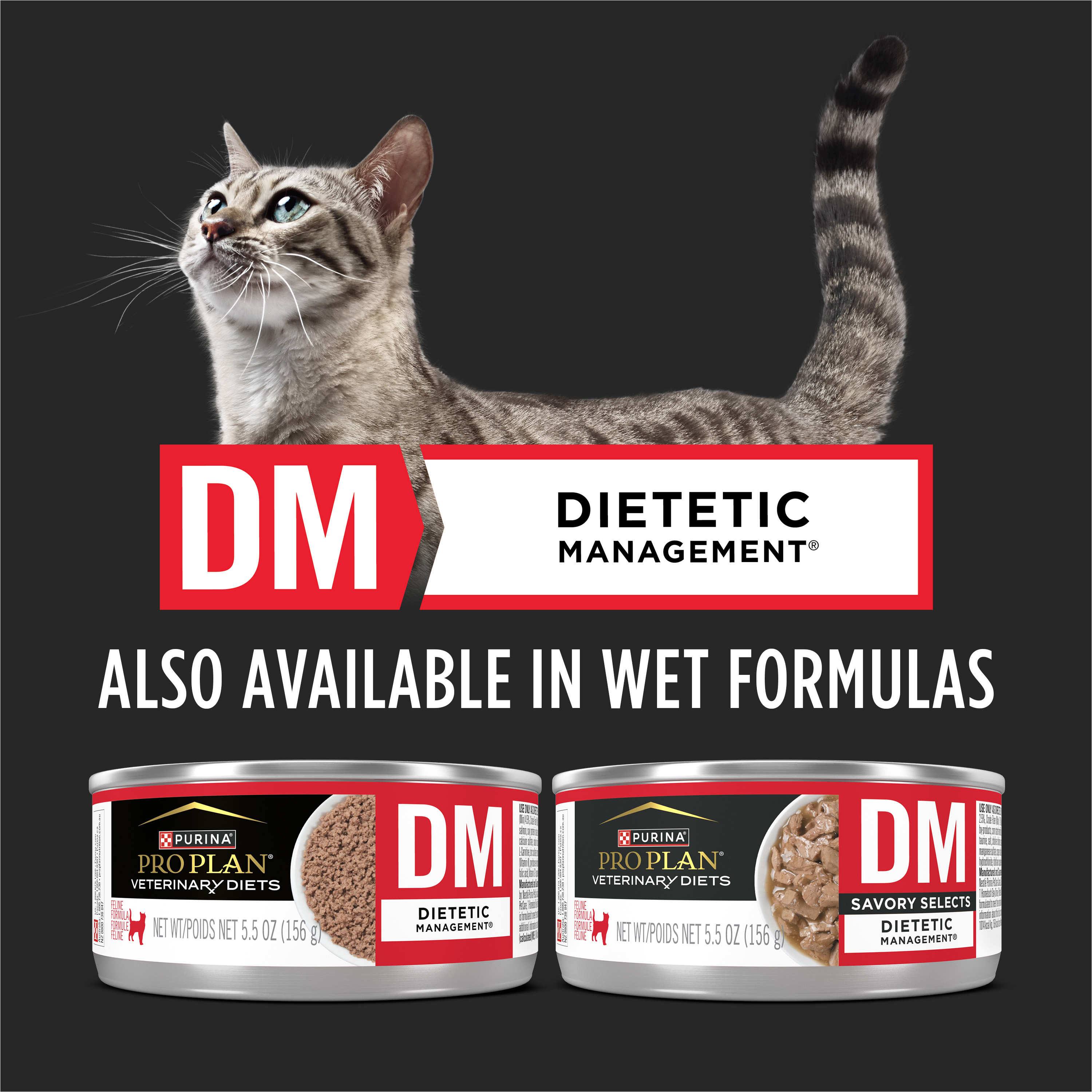 Dietetic cat food sale