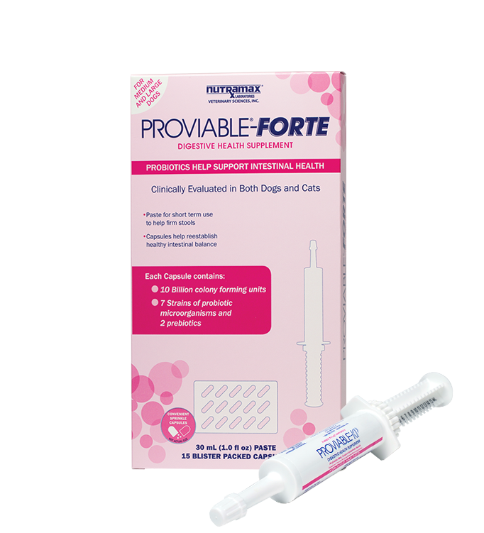 What Is Proviable Forte