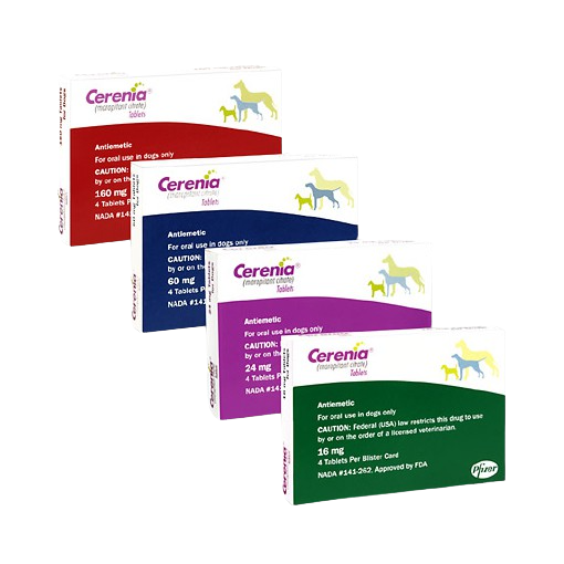 Cerenia Koala Health