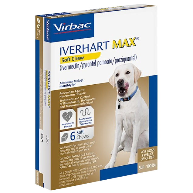 Iverhart Max for Dogs | Koala Health