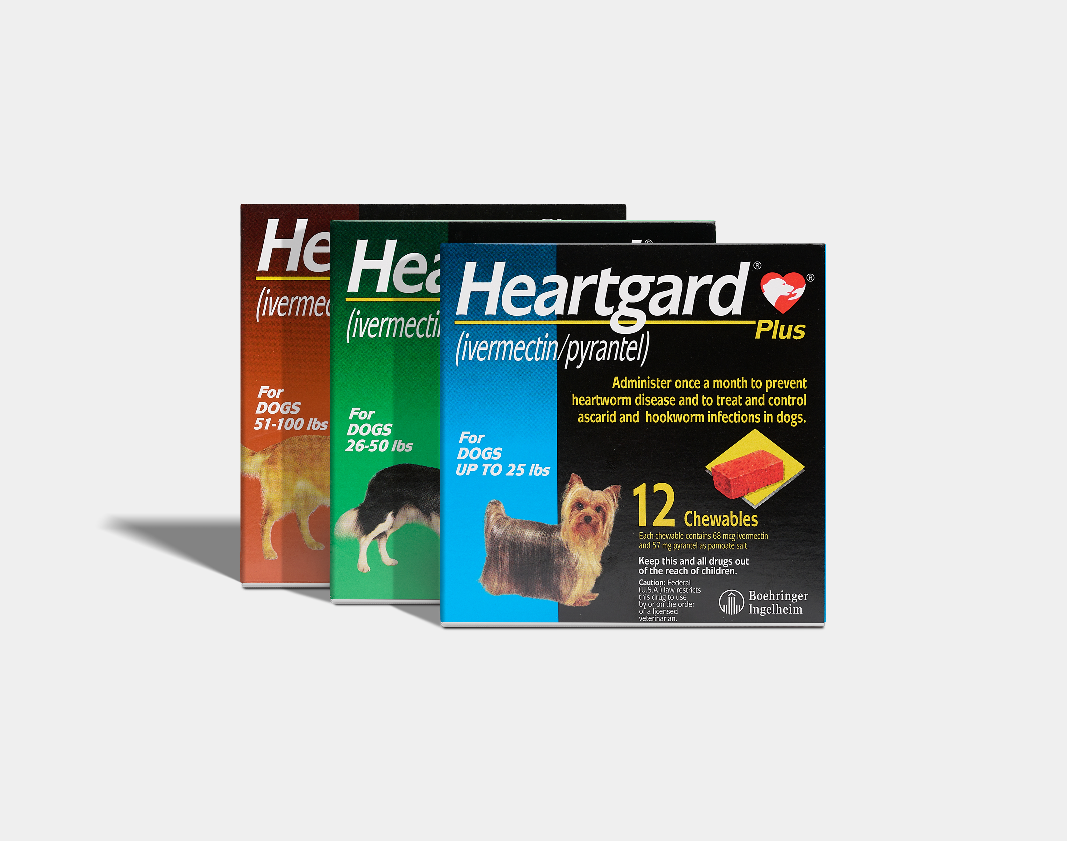 Hookworms in Dogs  HEARTGARD® Plus (ivermectin/pyrantel)