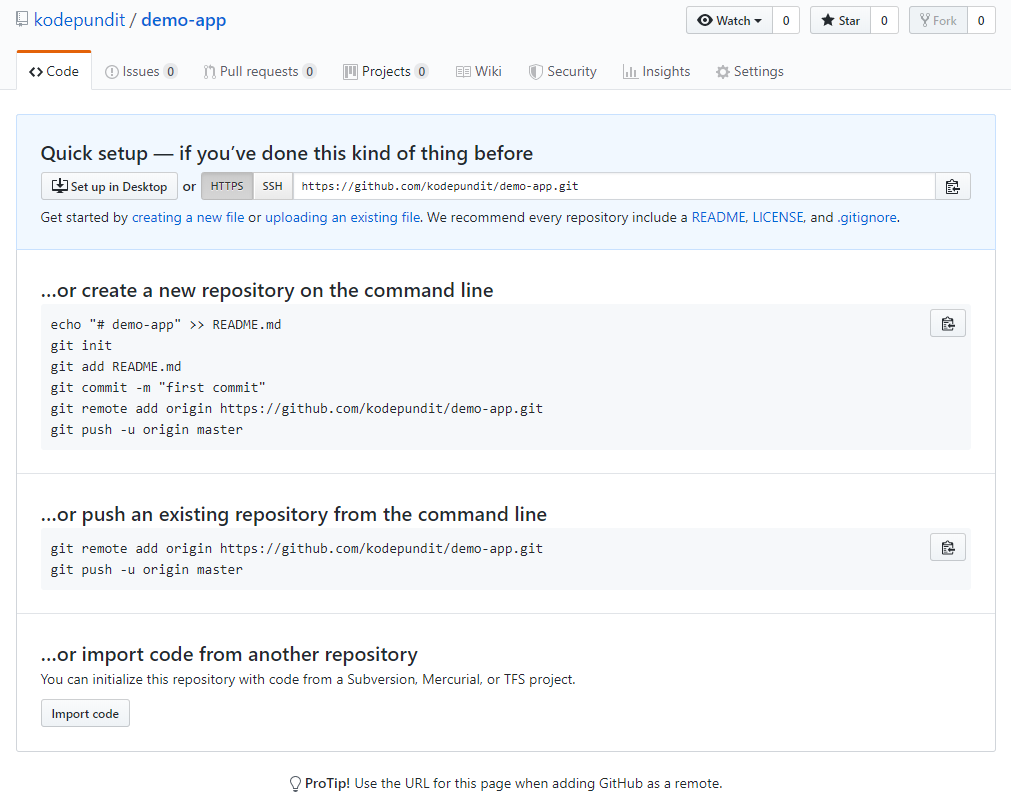 The new empty GitHub repository.